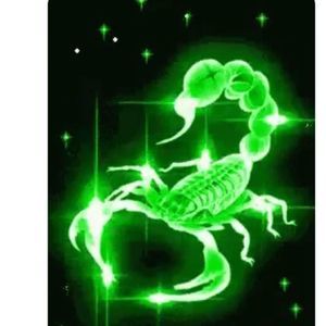 Meet your Posher, Marlon